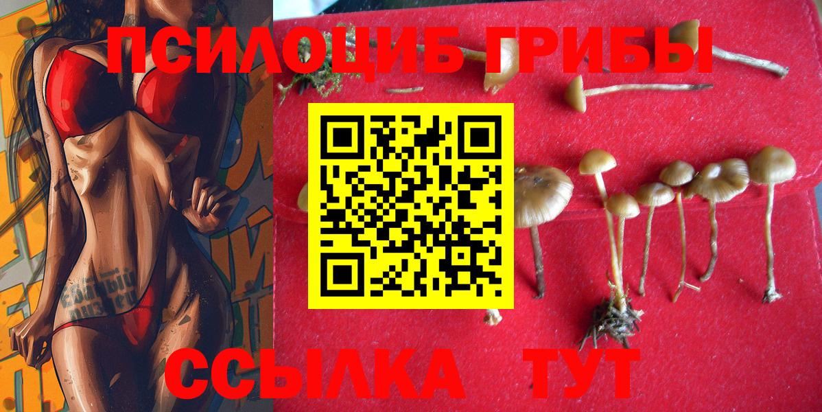 Луховицы  Галлюциногенные грибы Cubensis  Вход с VPN 